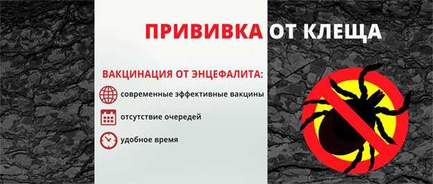 Электронный журнал междуреченск школа