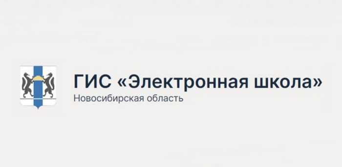 Электронный дневник новосибирская область карасук