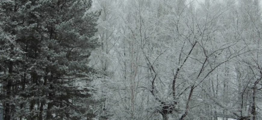 ОРГАНИЗОВАТЬ НЕДЕЛЮ ТЕХНИЧЕСКОГО ТВОРЧЕСТВА