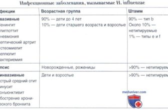 СВОДНАЯ ВЕДОМОСТЬ УСПЕВАЕМОСТИ УЧАЩЕГОСЯ ШАБЛОН